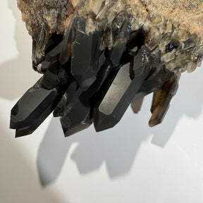 Cluster of smoky quartz druses | Raw 896g
